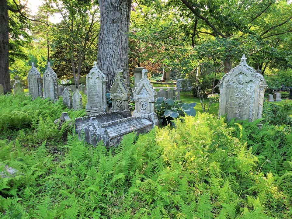 Graves in Mount Auburn Cemetery shaded by trees and surrounded by ferns.