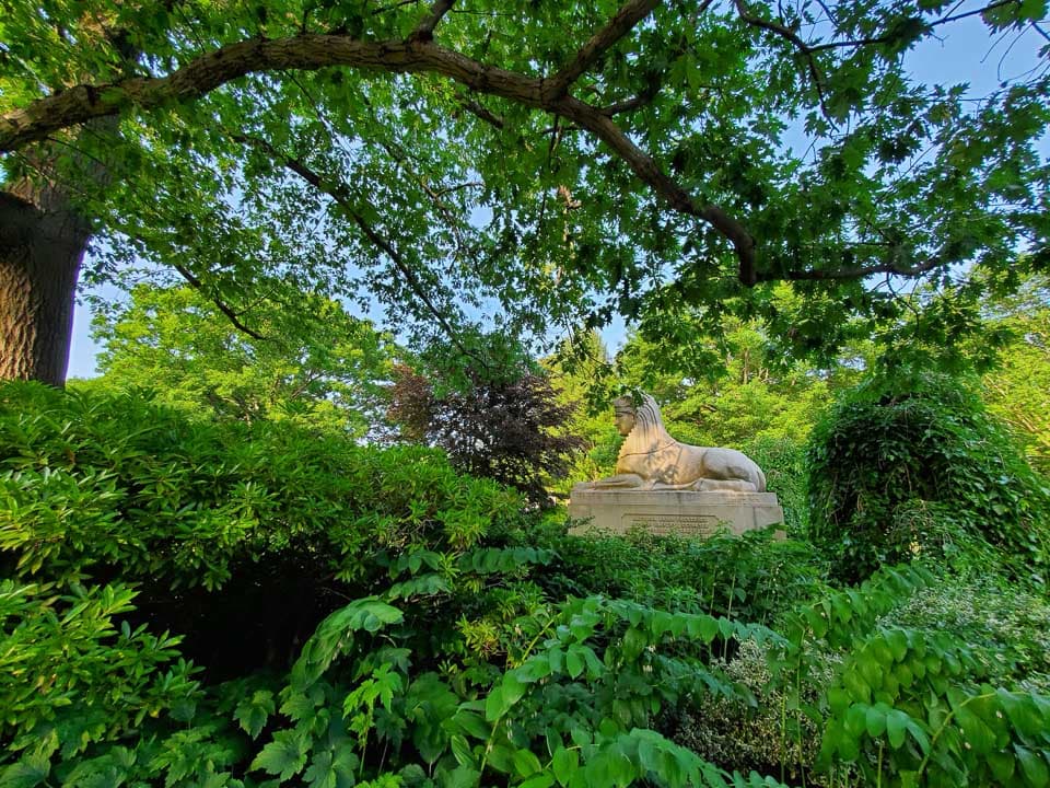 Lush greenery framing the Mount Auburn sphinx.