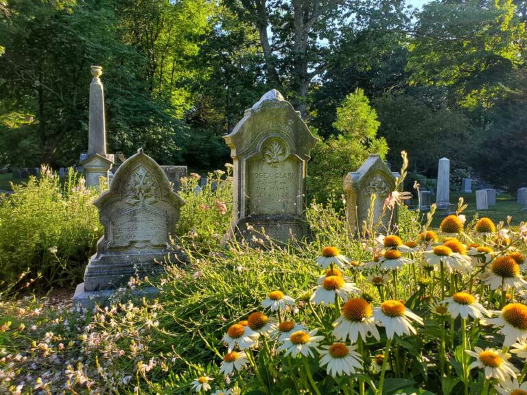Mount Auburn Cemetery- The First Rural Cemetery in the United States