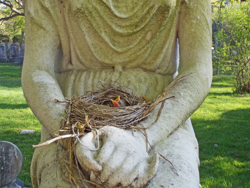 Baby bird in a nest on a sculpture.