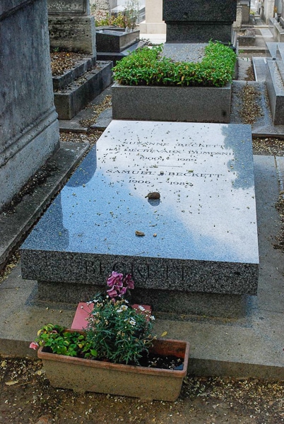A plant in front of Samuel Beckett's grave.