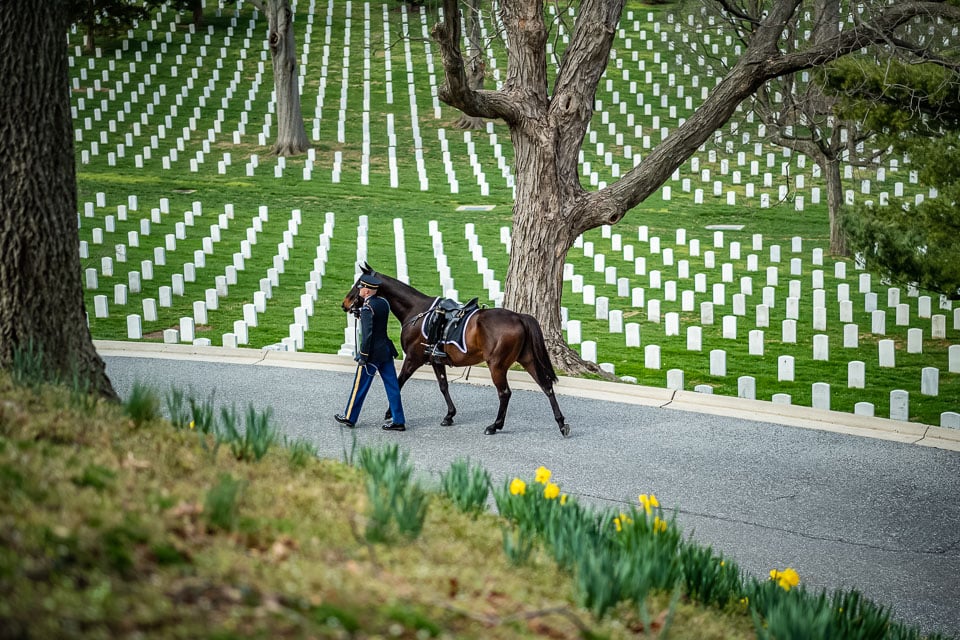 Soldier walking a horse through Arlington National Cemetery.