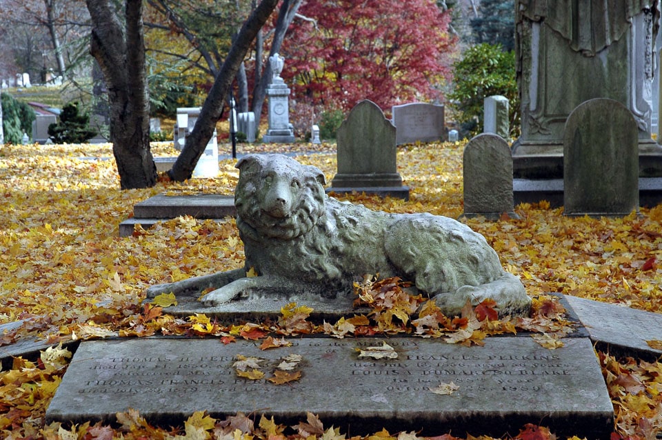 Dog sculpture on Thomas Handasyd Perkins grave.