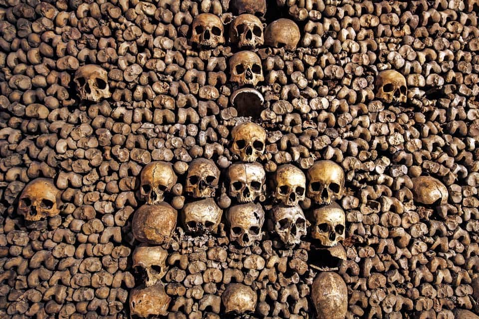 Artistically arranged skulls in a tightly packed wall of bones under Paris.