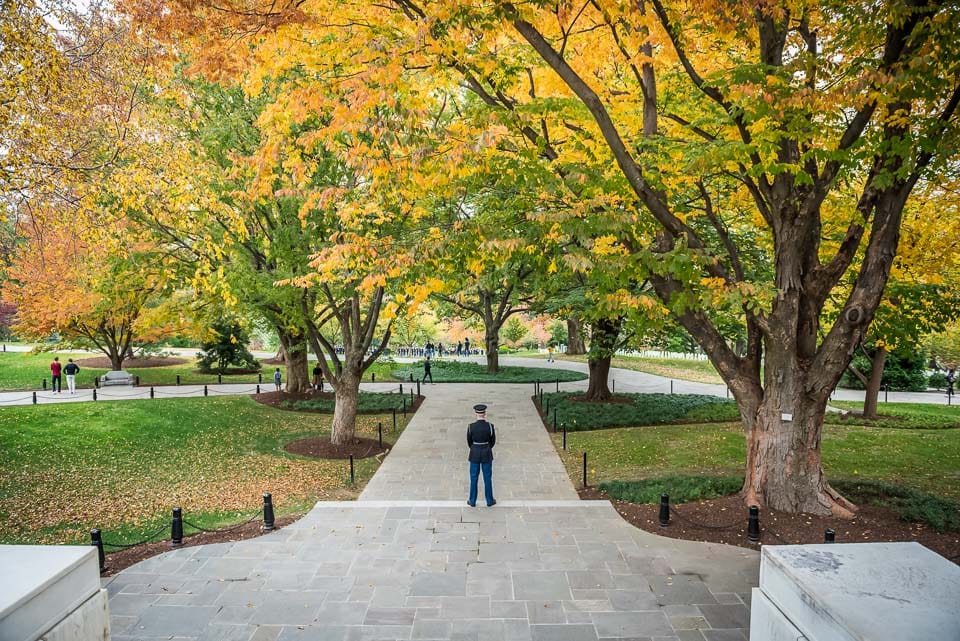 Soldier standing on a tree-shaded path in autumn.