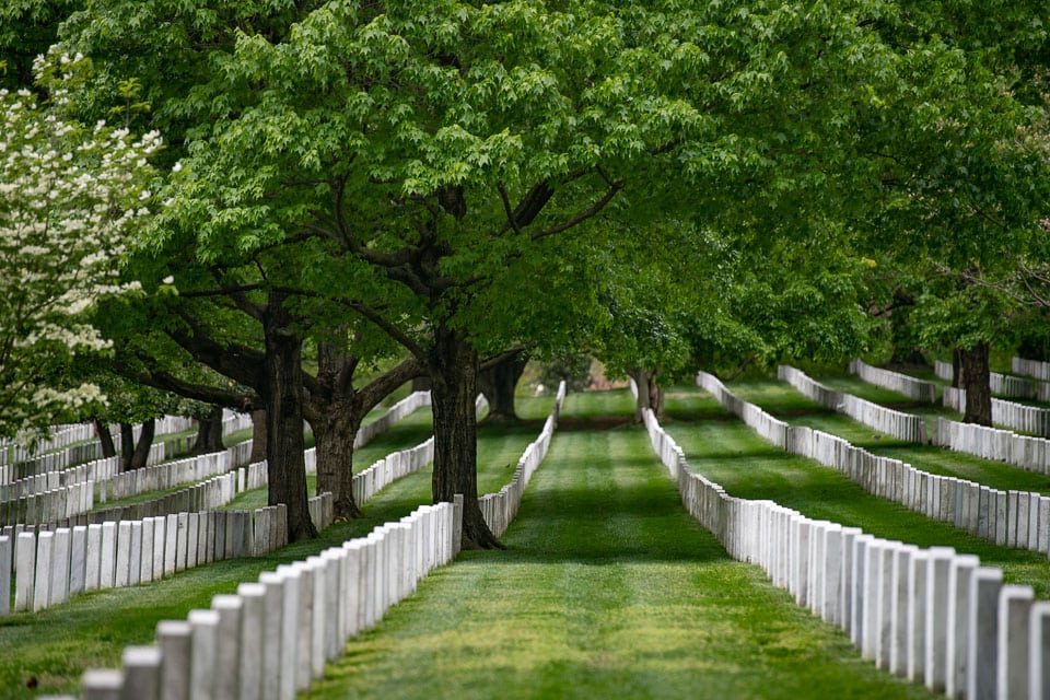 Big trees growing among rows of graves in Arlington National Cemetery.