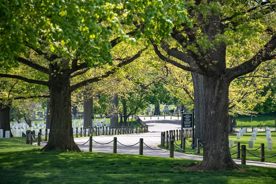 Cemetery road shaded by trees.