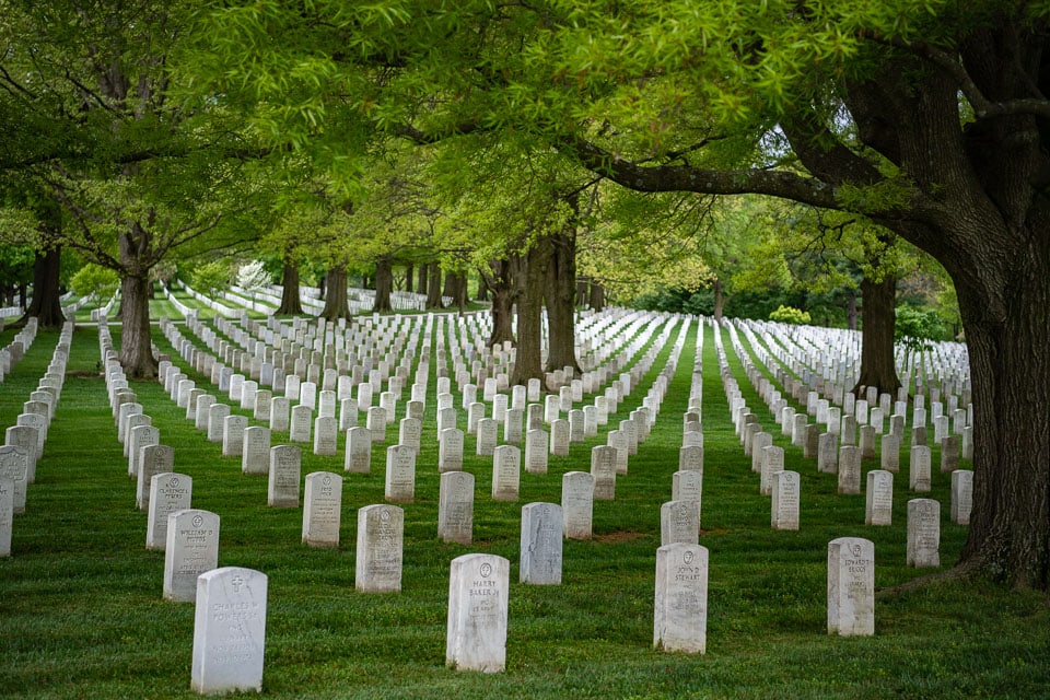 Tree-shaded graves in Arlington National Cemetery.