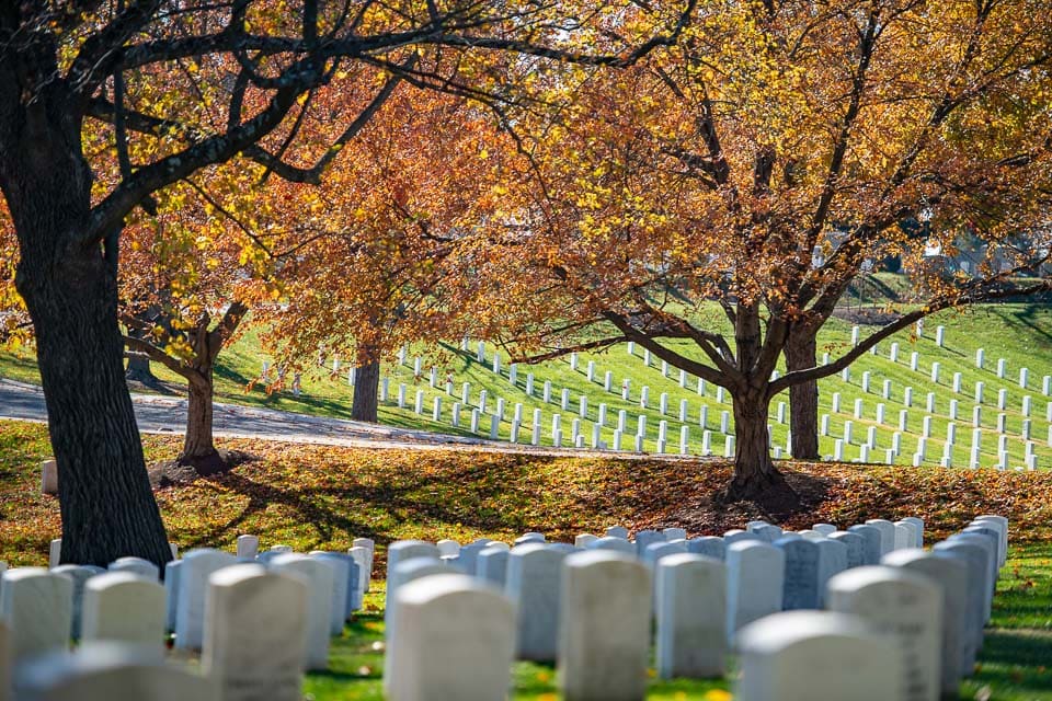 Graves under a tree with yellow leaves in autumn.