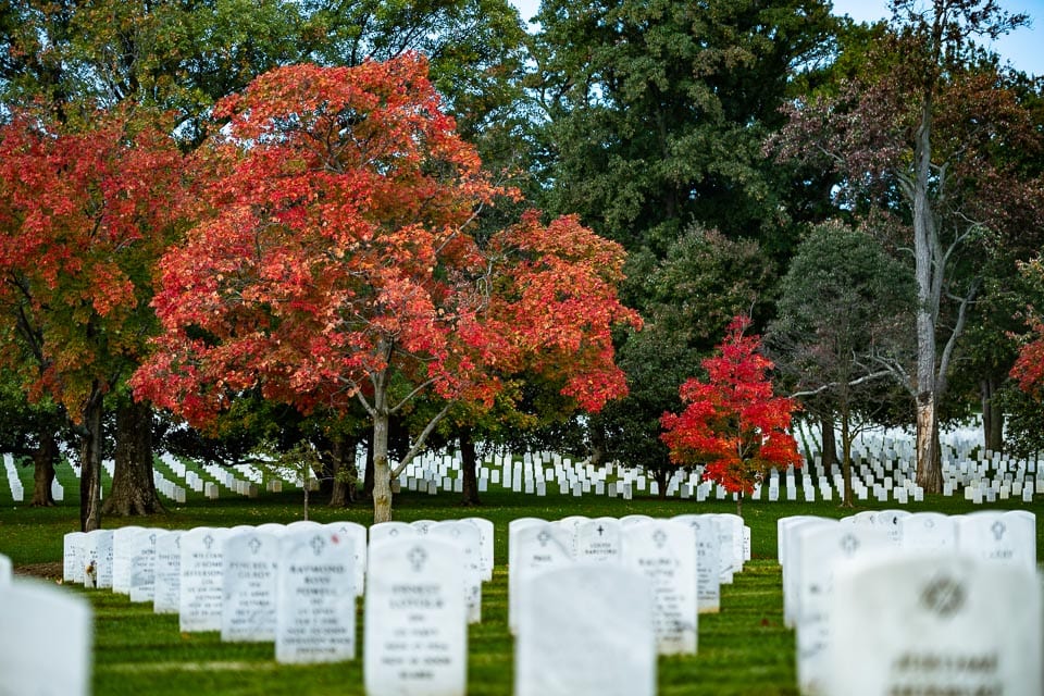 Tombstones and a tree with red leaves during autumn at Arlington National Cemetery.