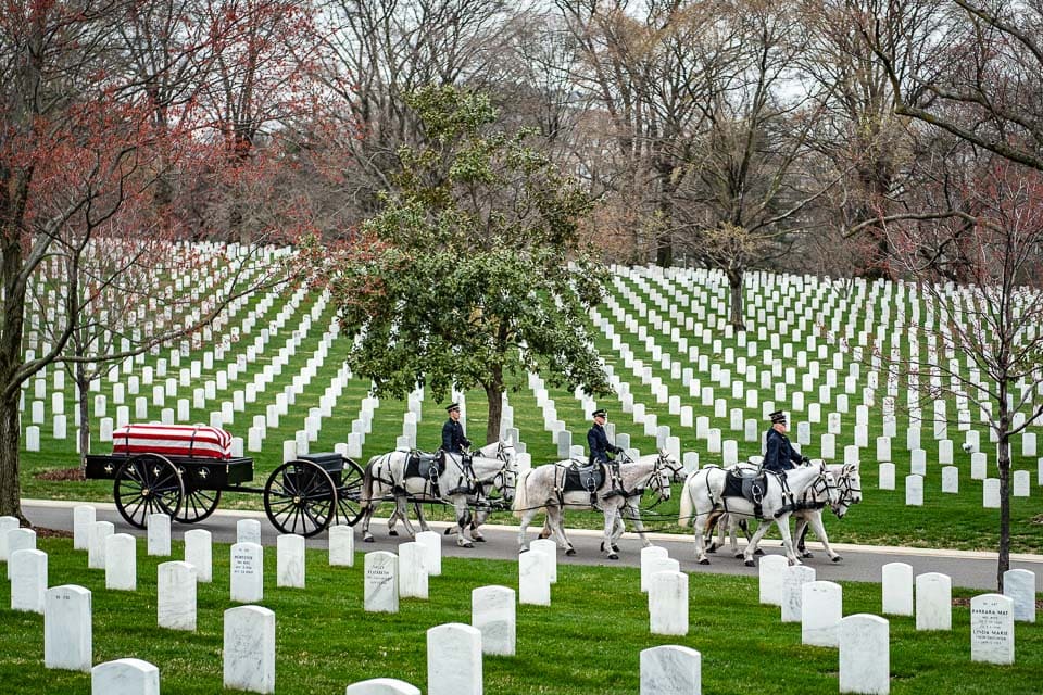 Horses pulling a coffin during a funeral in Arlington National Cemetery.
