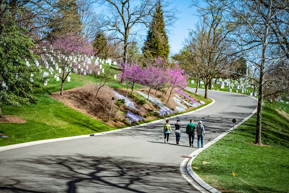 People walking on a road in Arlington National Cemetery.