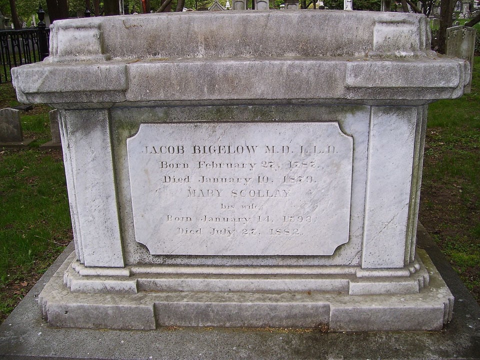 Jacob Bigelow's tomb.