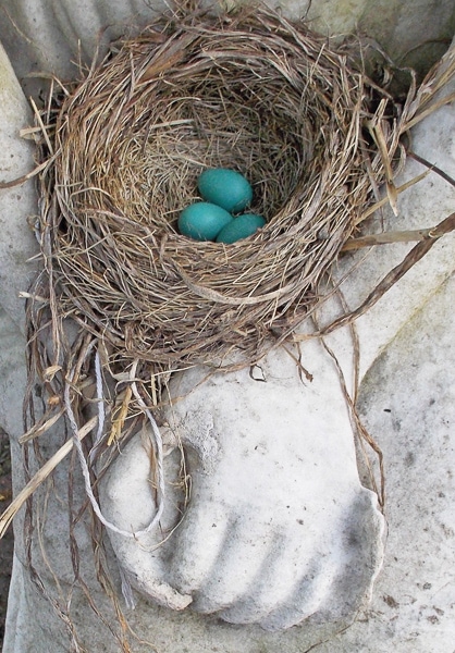 Bird nest with blue eggs on a sculpture.