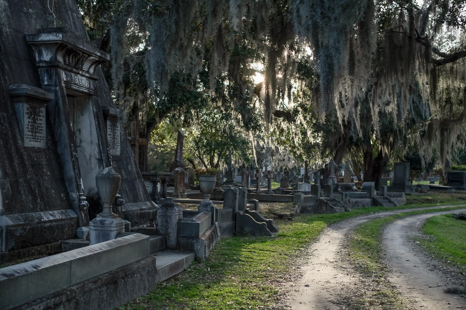 Path and tombstones under moss-draped oak trees.