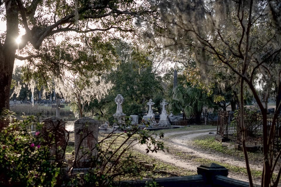 Mossy trees, path, and graves in Magnolia Cemetery.