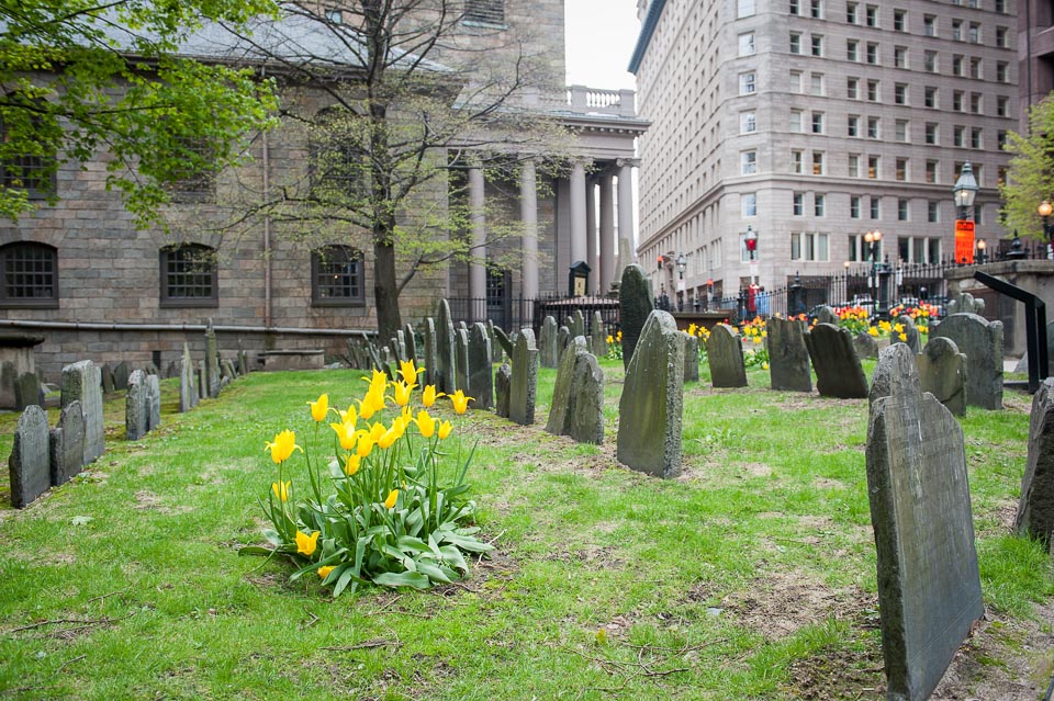 Yellow flowers and rows of graves beside King's Chapel.