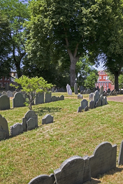 Tombstones and trees in the cemetery.
