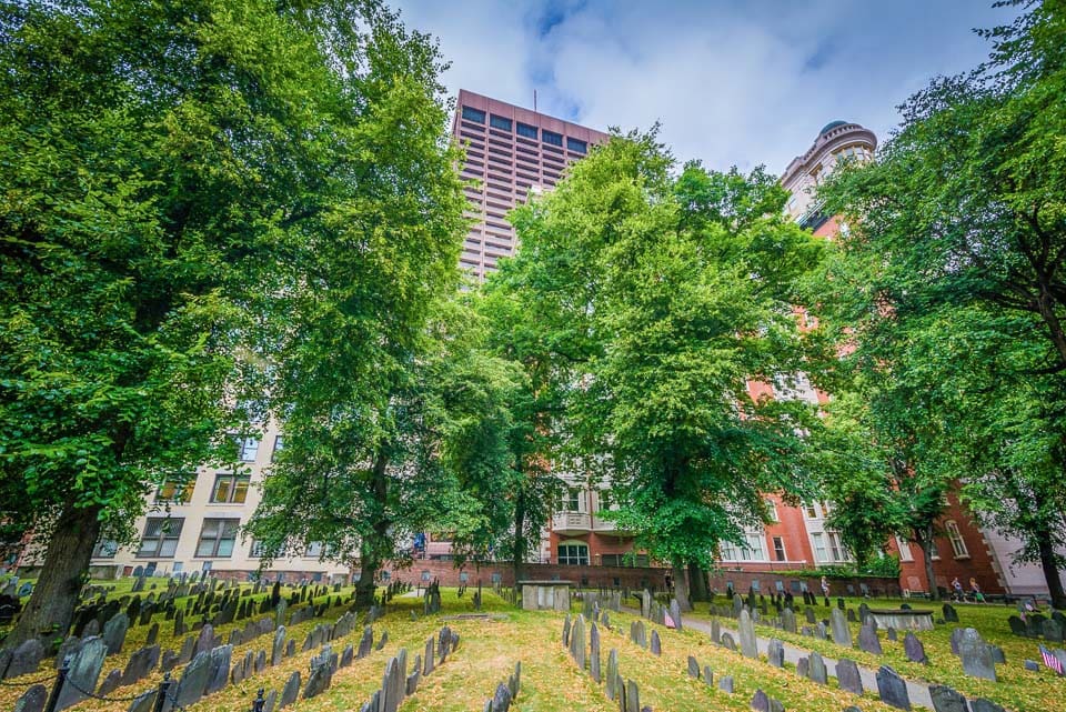 Rows of graves backed by buildings.