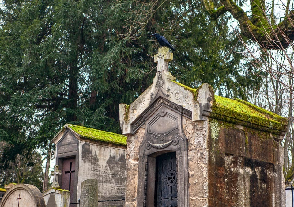 Moss and a crow perched on the roof of a small mausoleum.