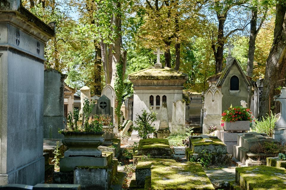 Mossy tombs and trees in one of the cemeteries in Paris.