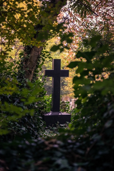 Trees and foliage surrounding a cross in one of the Magnificent Seven cemeteries.