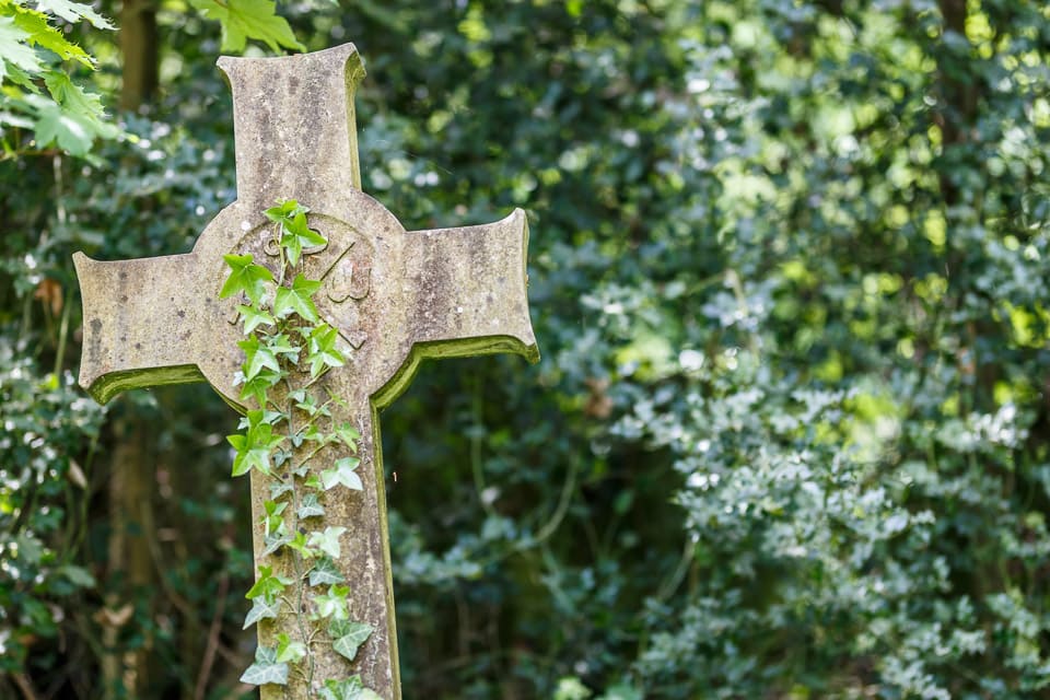 Ivy growing up a cross tombstone in one of the Magnificent Seven cemeteries.