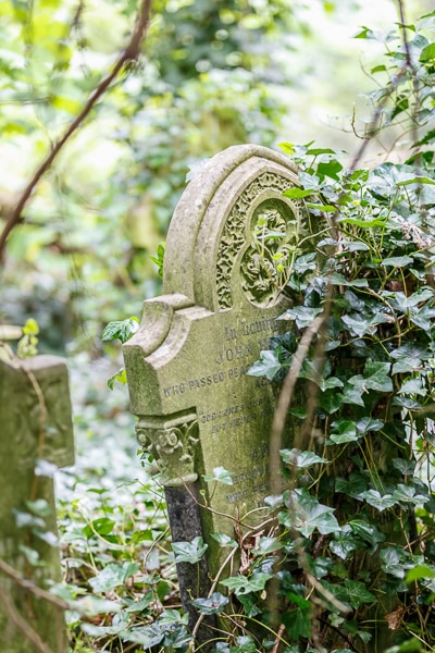 Leaning tombstone partially covered by plants.