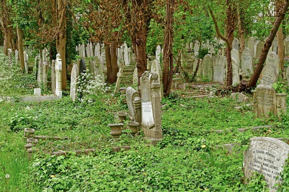 Trees, shrubs and rows of graves in Highgate Cemetery.