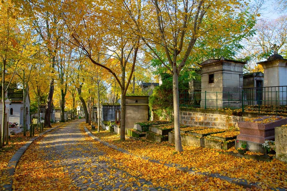 Trees with autumn leaves lining a path in Père Lachaise Cemetery.