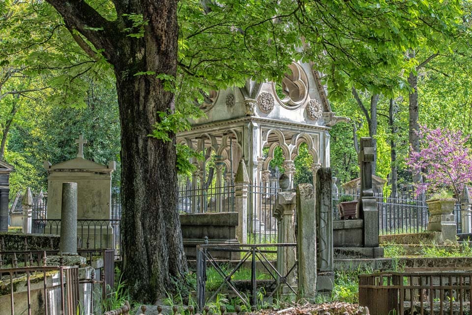 Tree-shaded graves.