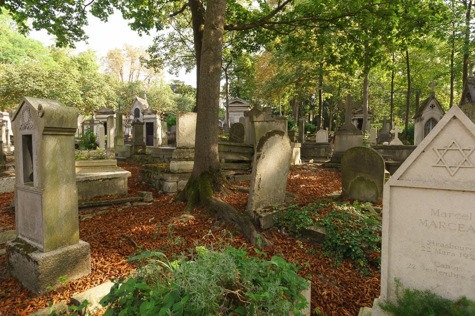 Graves under a tree.