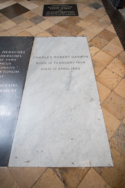 Charles Darwin's grave in Westminster Abbey.