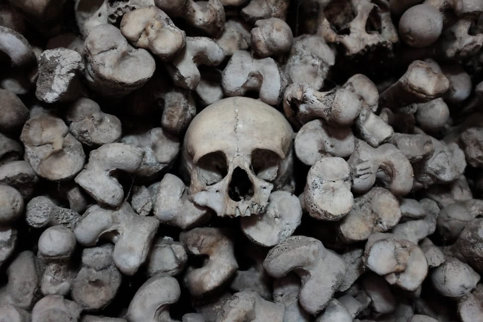 A skull surrounded by bones in an ossuary.