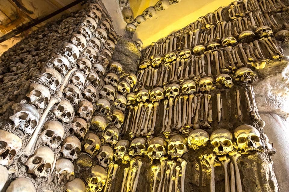 Skulls and other bones on the walls.