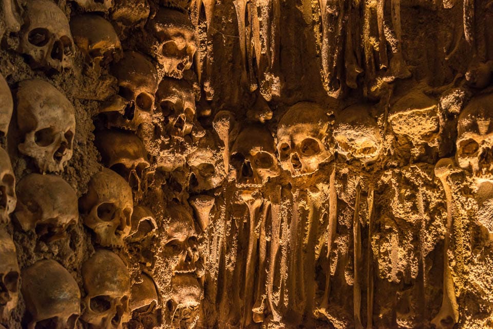 Close up of skulls cemented onto a wall.